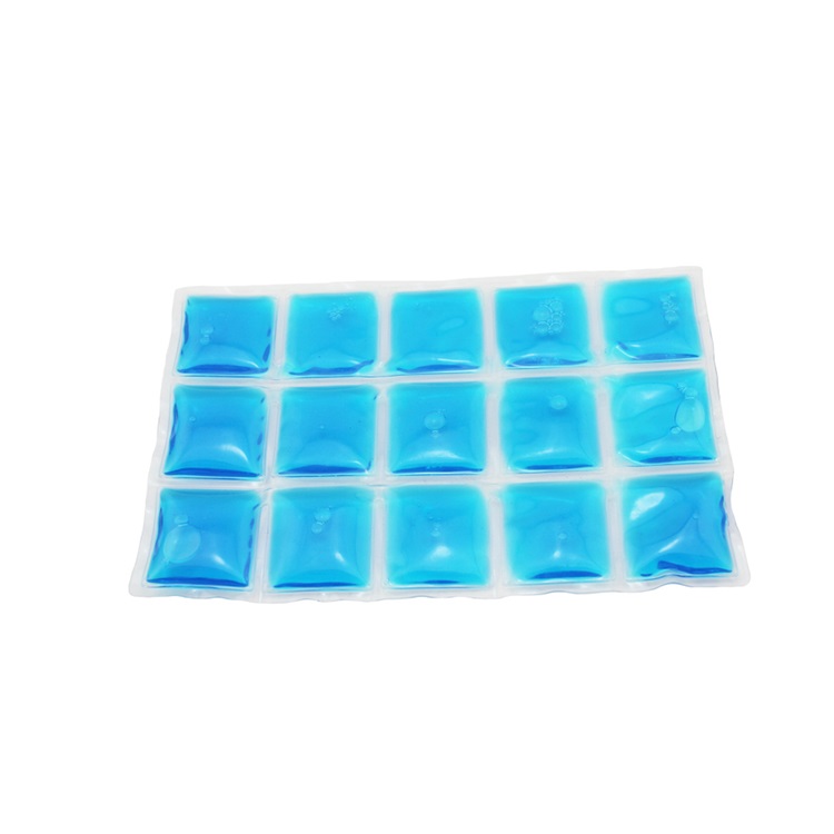 Ice pack for food delivery