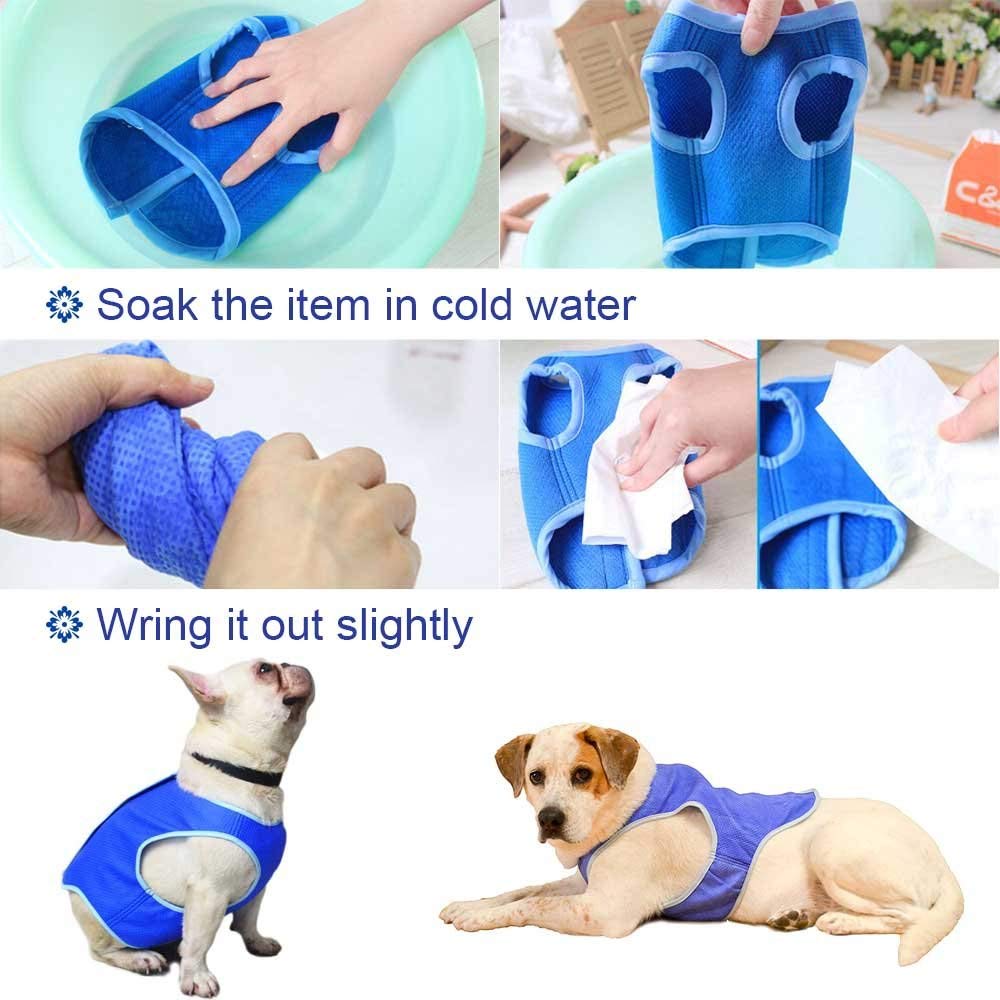 Pet cooling vest in summer